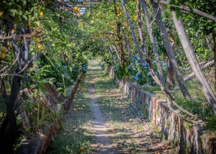 Apartment Dimora Filangieri